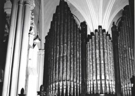 Chancel Organ Pipes