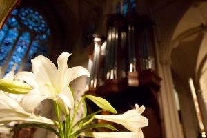 organ-with-lily